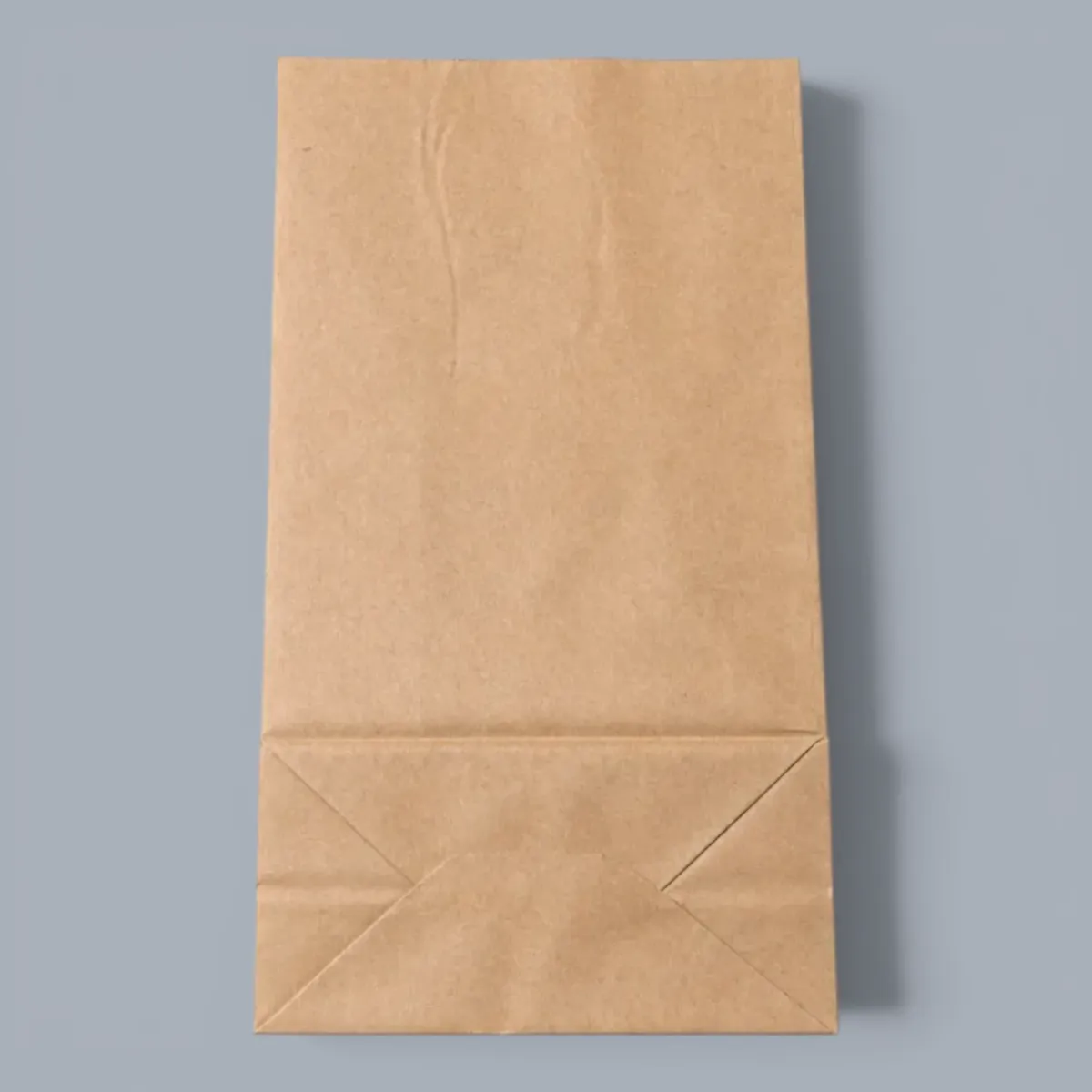 Bag Paper (#12)