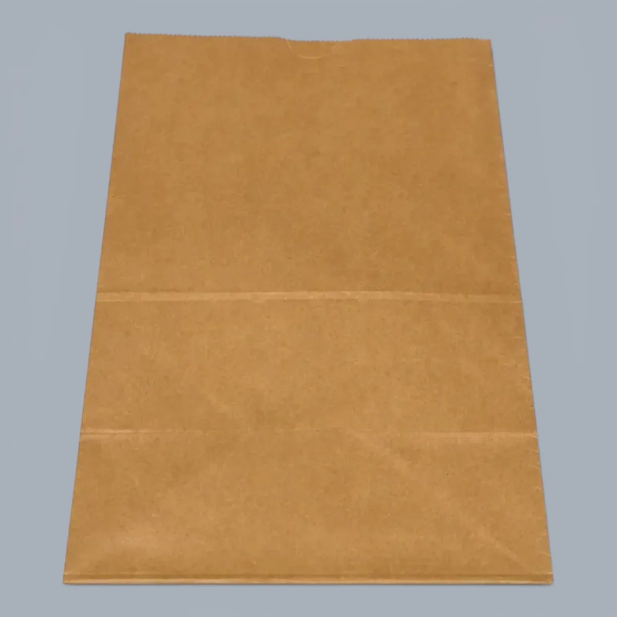 Bag Paper (520)