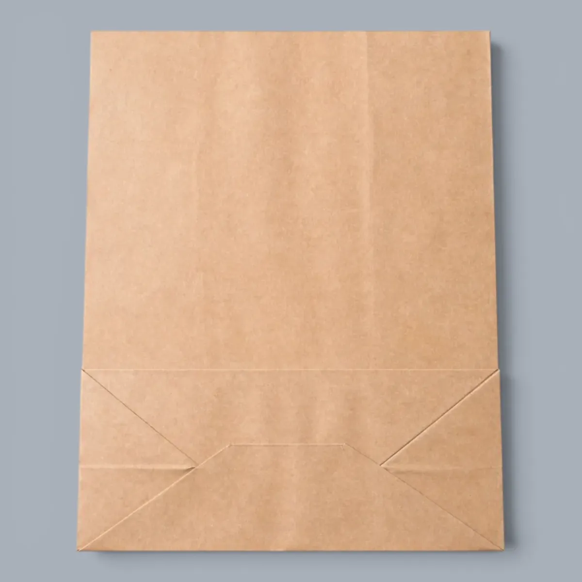 Bag Paper (536)