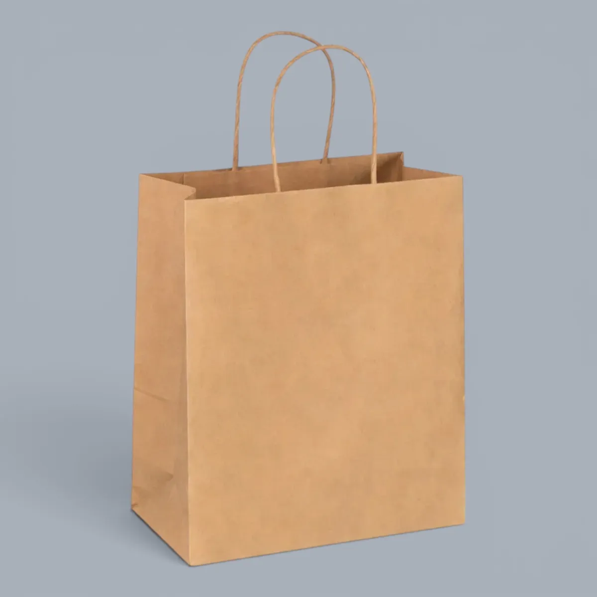 Bag Paper w/ Handle (S)