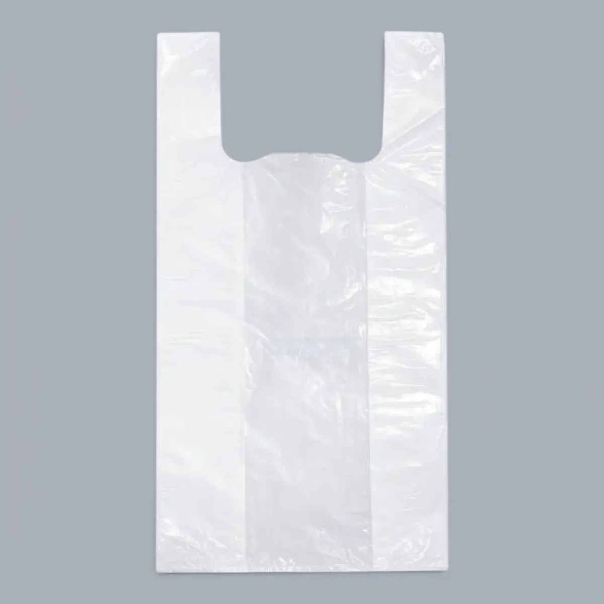 Bag T-Shirt (S2)