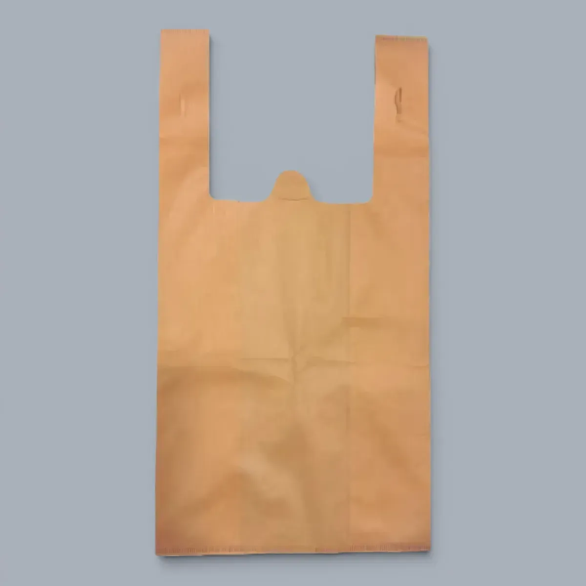 Bag Eco (L+)